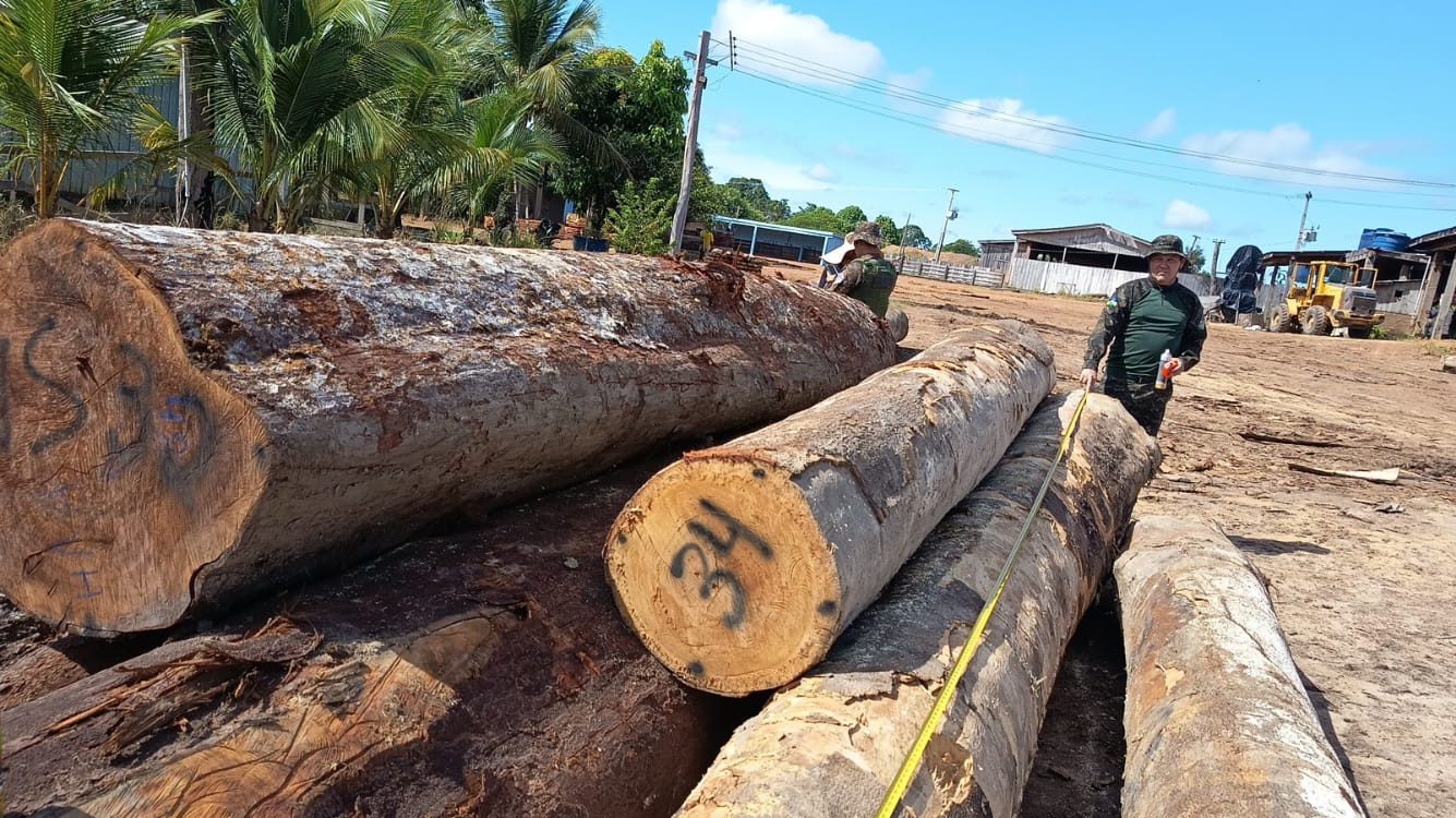 Batalhão de Polícia Ambiental flagra irregularidades e apreende madeira em empreendimento madeireiro em Candeias do Jamari