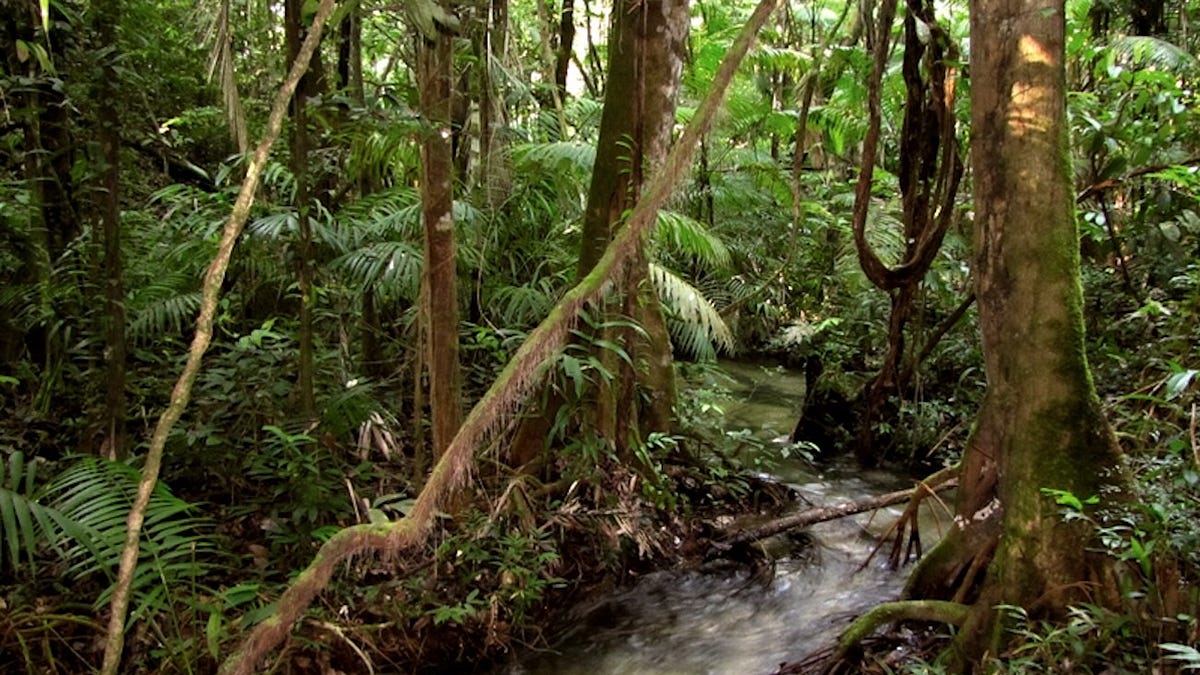 Justiça Militar mantém prisão de colombiano após confrontos com Exército na fronteira amazônica