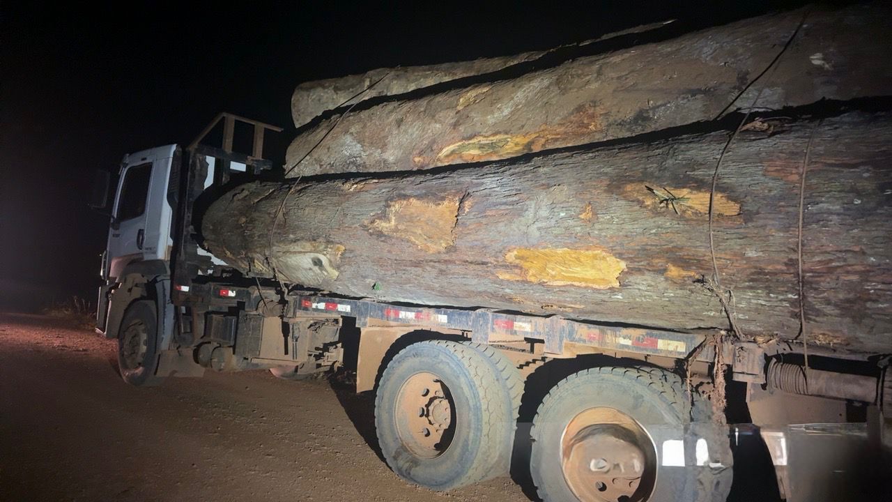 POLÍCIA MILITAR APREENDE MADEIRA ILEGAL E CAMINHÕES DURANTE  OPERAÇÃO EM PORTO VELHO