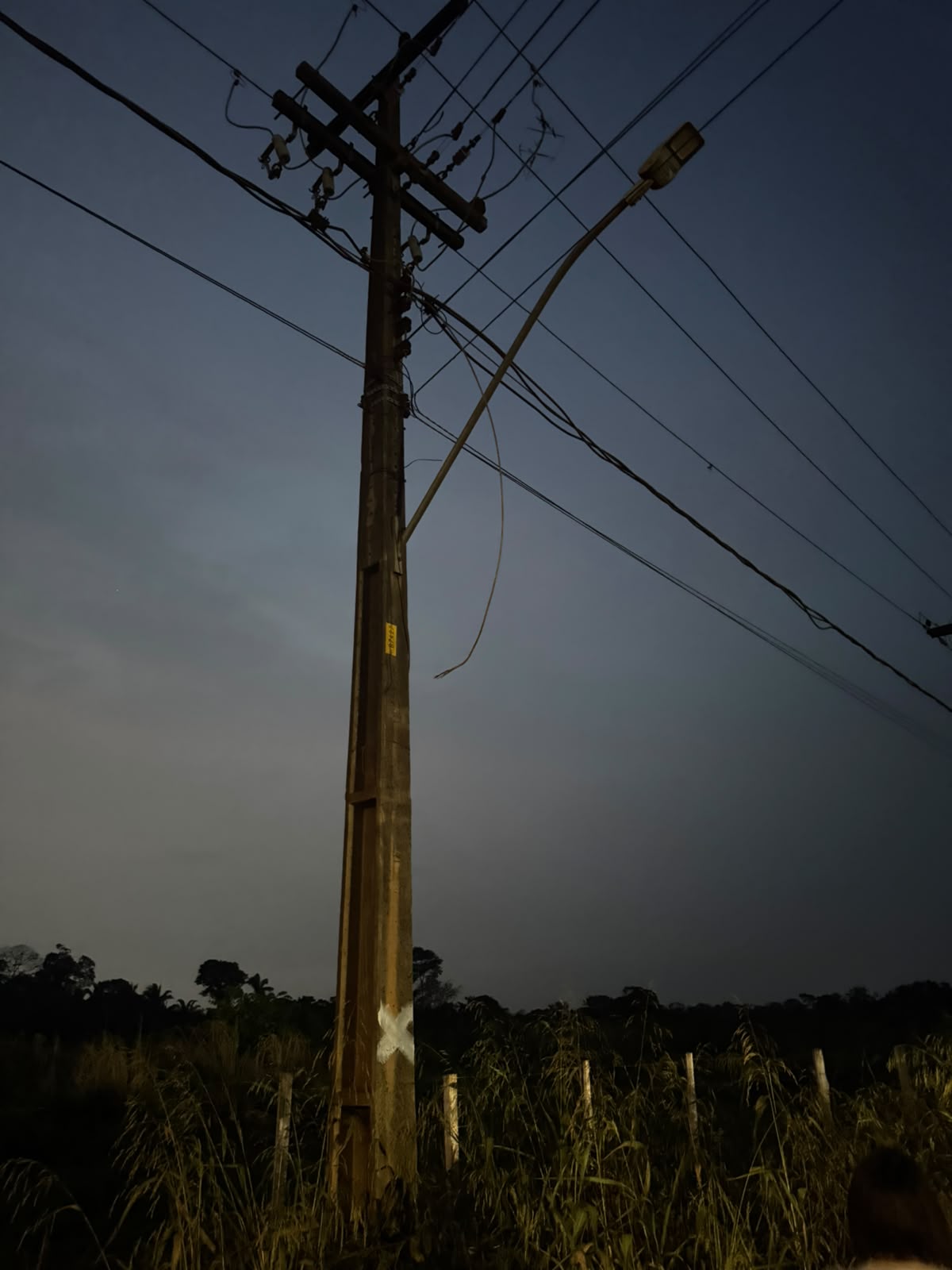 Poda de Árvores na Zona Sul é Solicitada pelo Vereador Edimilson Dourado para Prevenir Acidentes e Falta de Energia