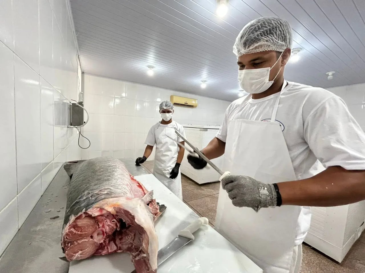 Regularização pelo SIM fortalece agroindústrias e abre mercado para o Brasil