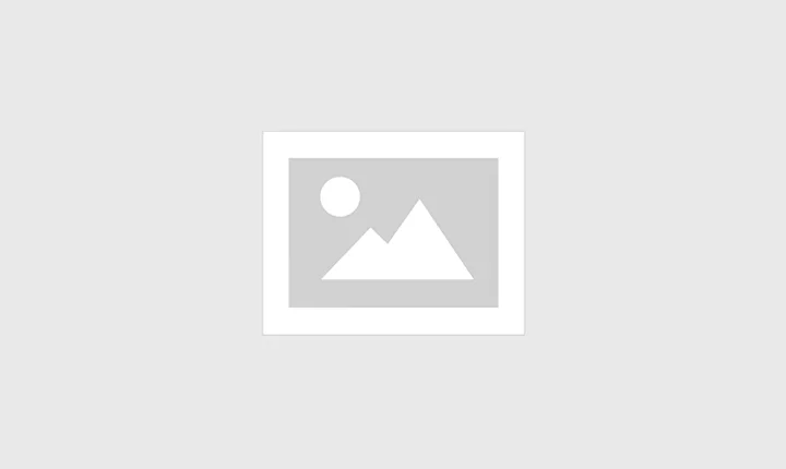Comedouros públicos para alimentação de animais em situação de rua serão instalados em Porto Velho