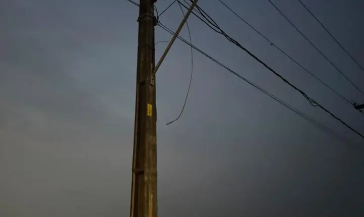 Poda de Árvores na Zona Sul é Solicitada pelo Vereador Edimilson Dourado para Prevenir Acidentes e Falta de Energia