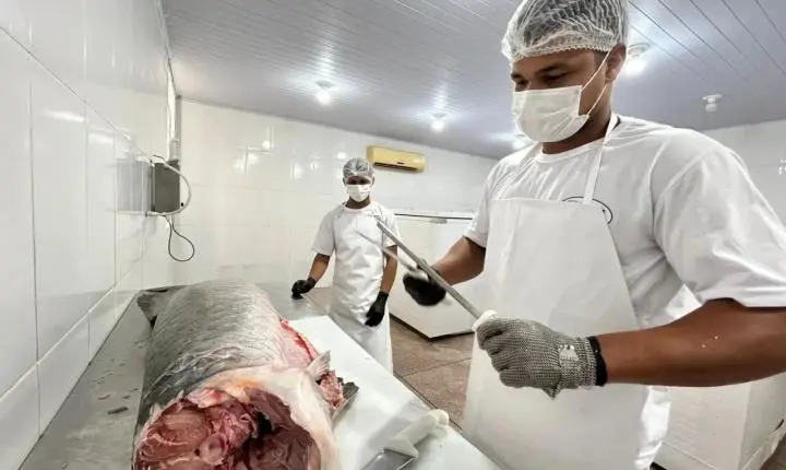 Regularização pelo SIM fortalece agroindústrias e abre mercado para o Brasil